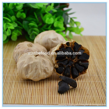 Black allium sativum Extract